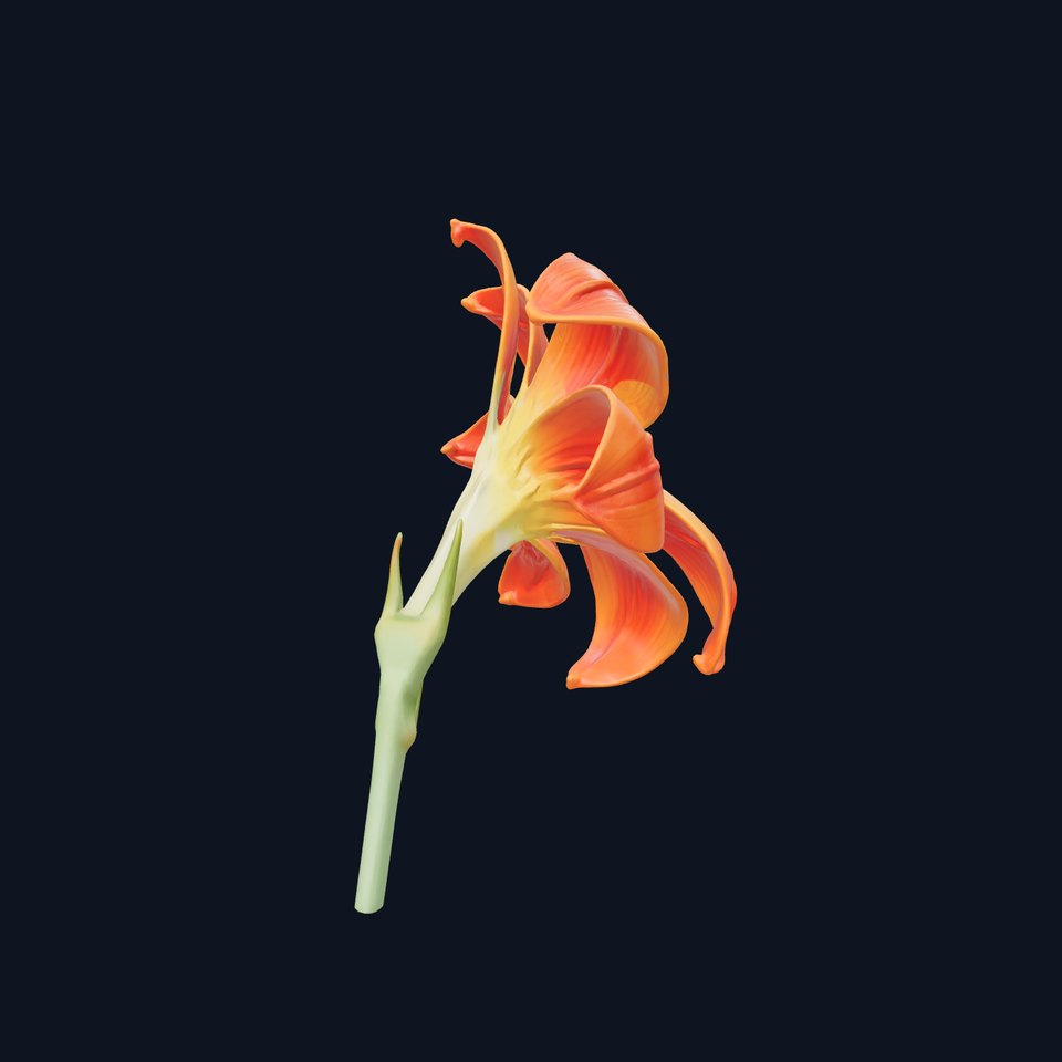 Freesia Orange Petal Detailed Flower model pack